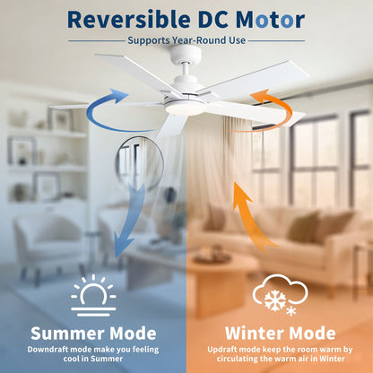 Ceiling fan with reversible DC motor, integrated LED dimmable light, white finish on Tampa Home & Garden Store