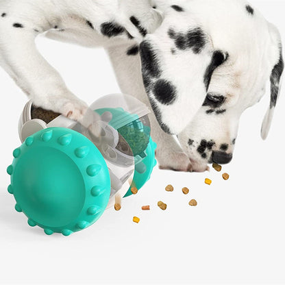 Turquoise studded dog ball with transparent center for slow-feed treats; dog sniffing kibble on Tampa Home & Garden Store