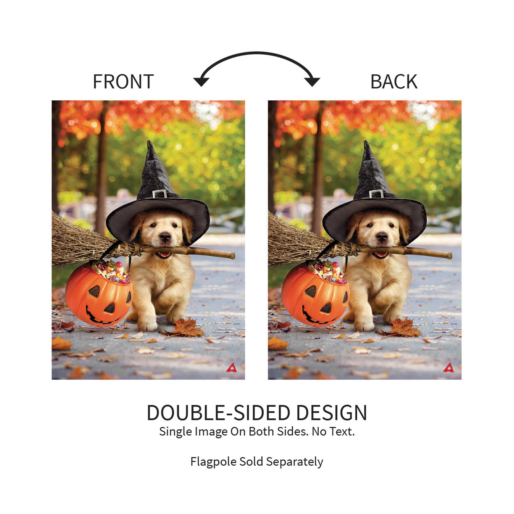 Goldens With Broom Suede Garden Flag dog with witch hat and pumpkin by Evergreen Ent. on Tampa Home & Garden Store