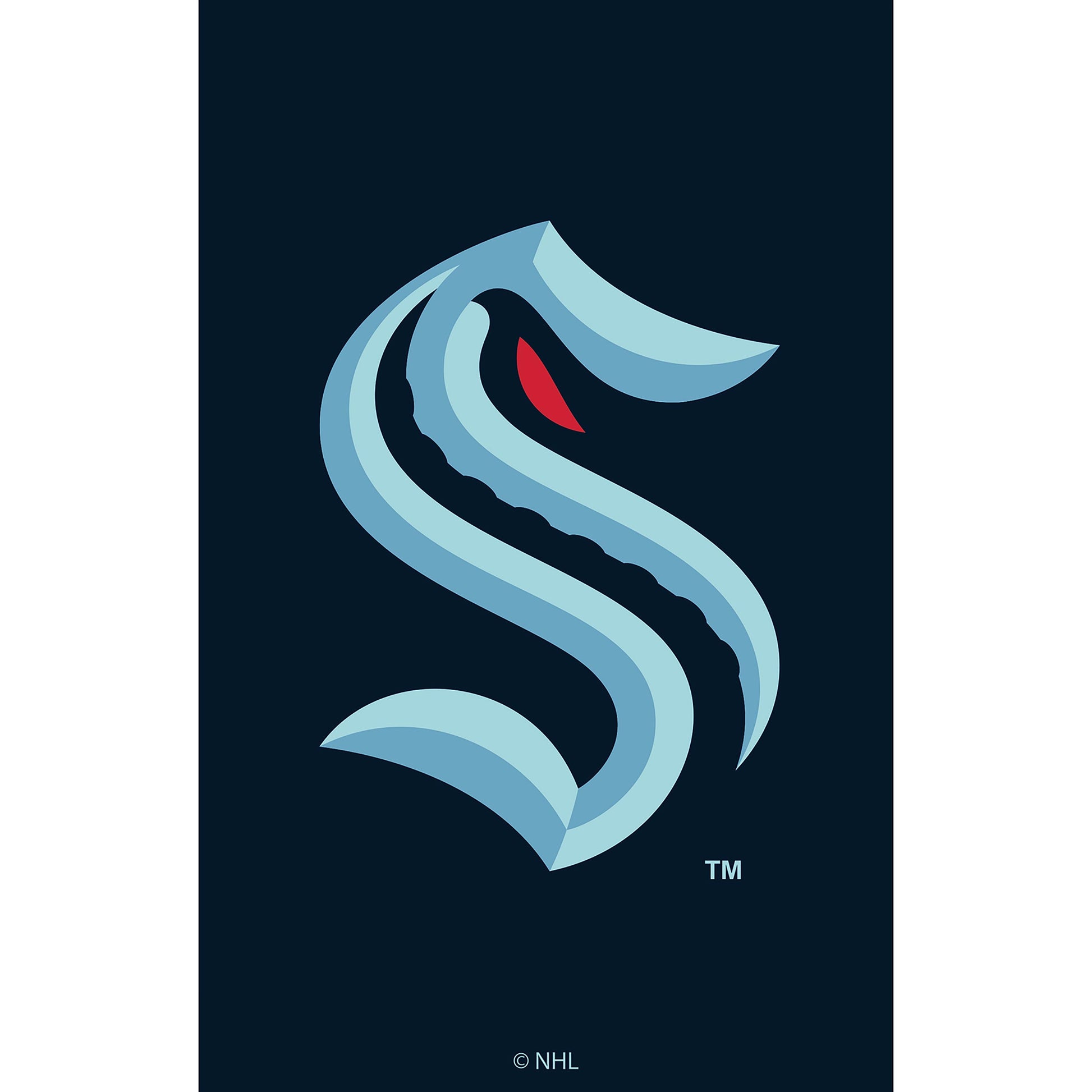 Seattle Kraken applique house flag with teal tentacles by Evergreen Enterprises on Tampa Home & Garden Store