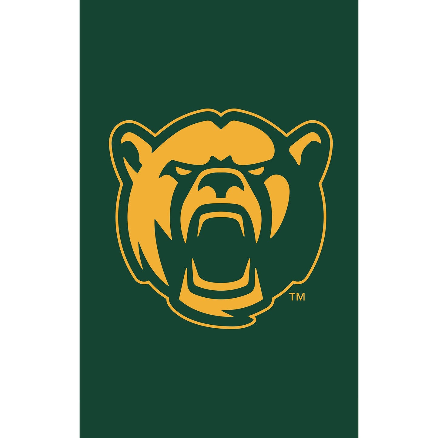 Baylor University applique house flag with gold bear head on dark green field on Tampa Home & Garden Store