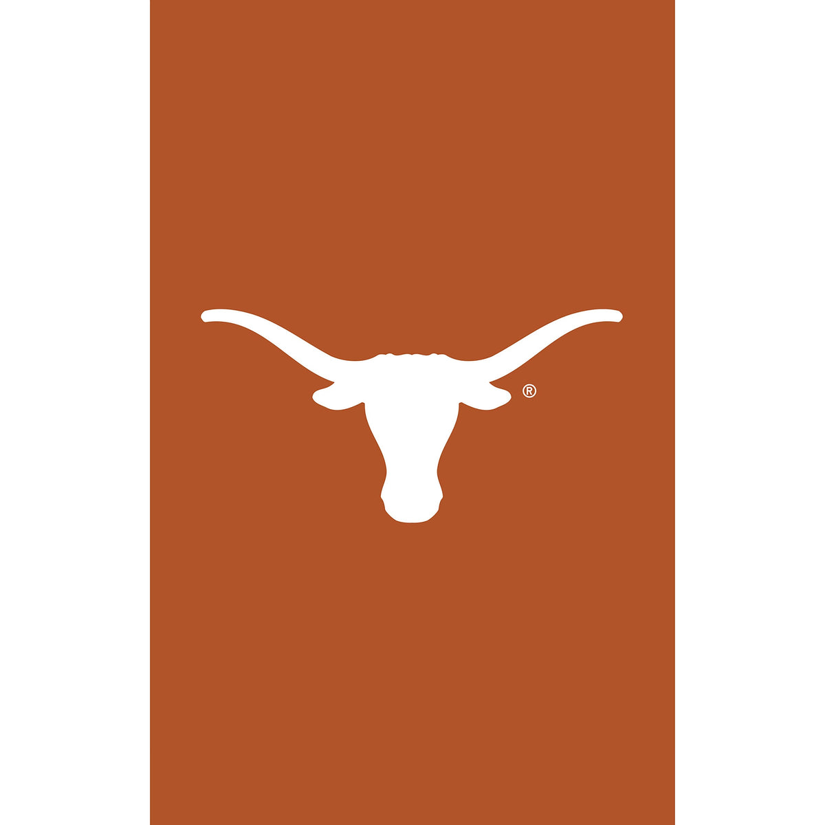 University of Texas Applique Garden Flag burnt orange with white Longhorn silhouette on Tampa Home & Garden Store