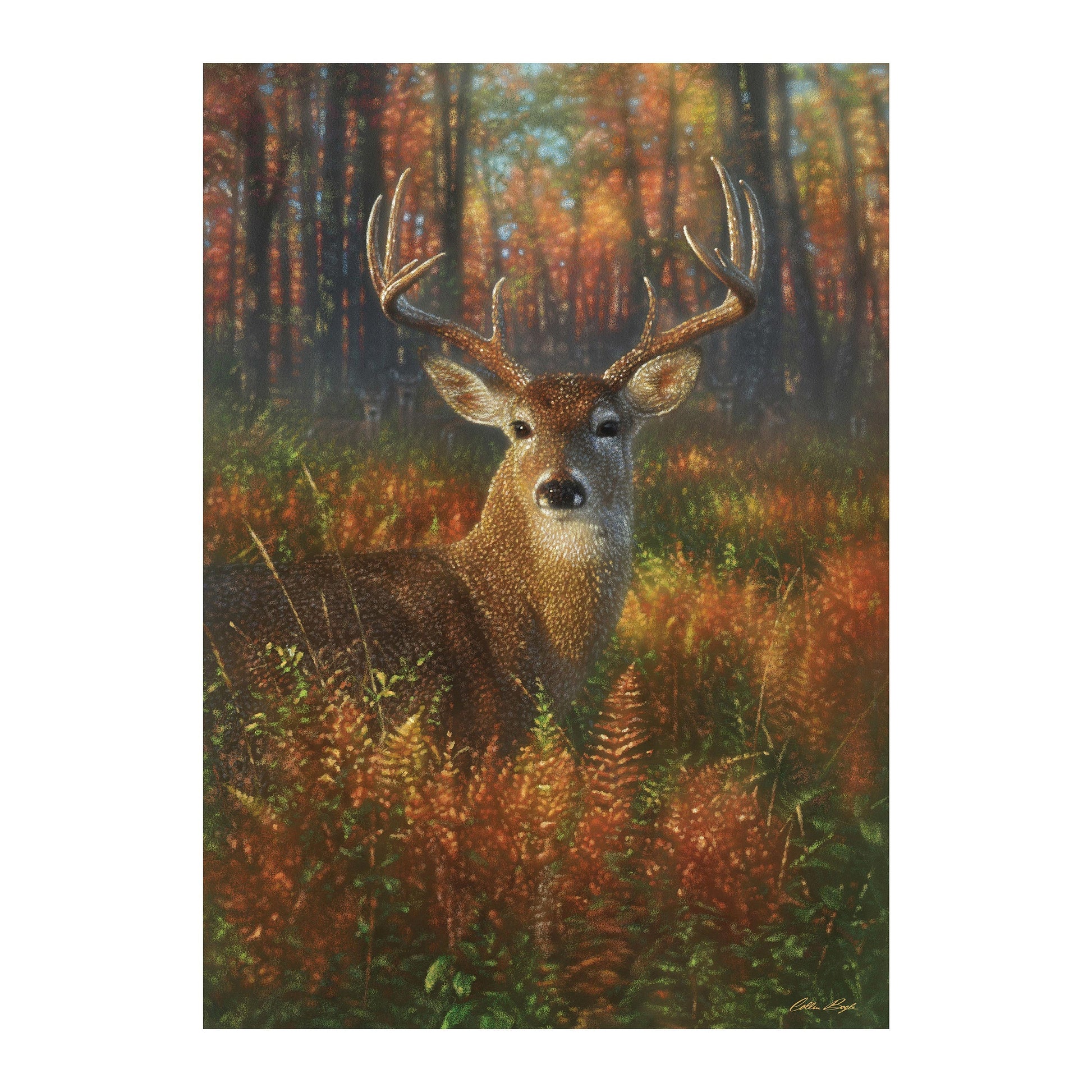 Gazing Autumn Buck Suede House Flag with a deer head design in a vibrant autumn forest on Tampa Home & Garden Store