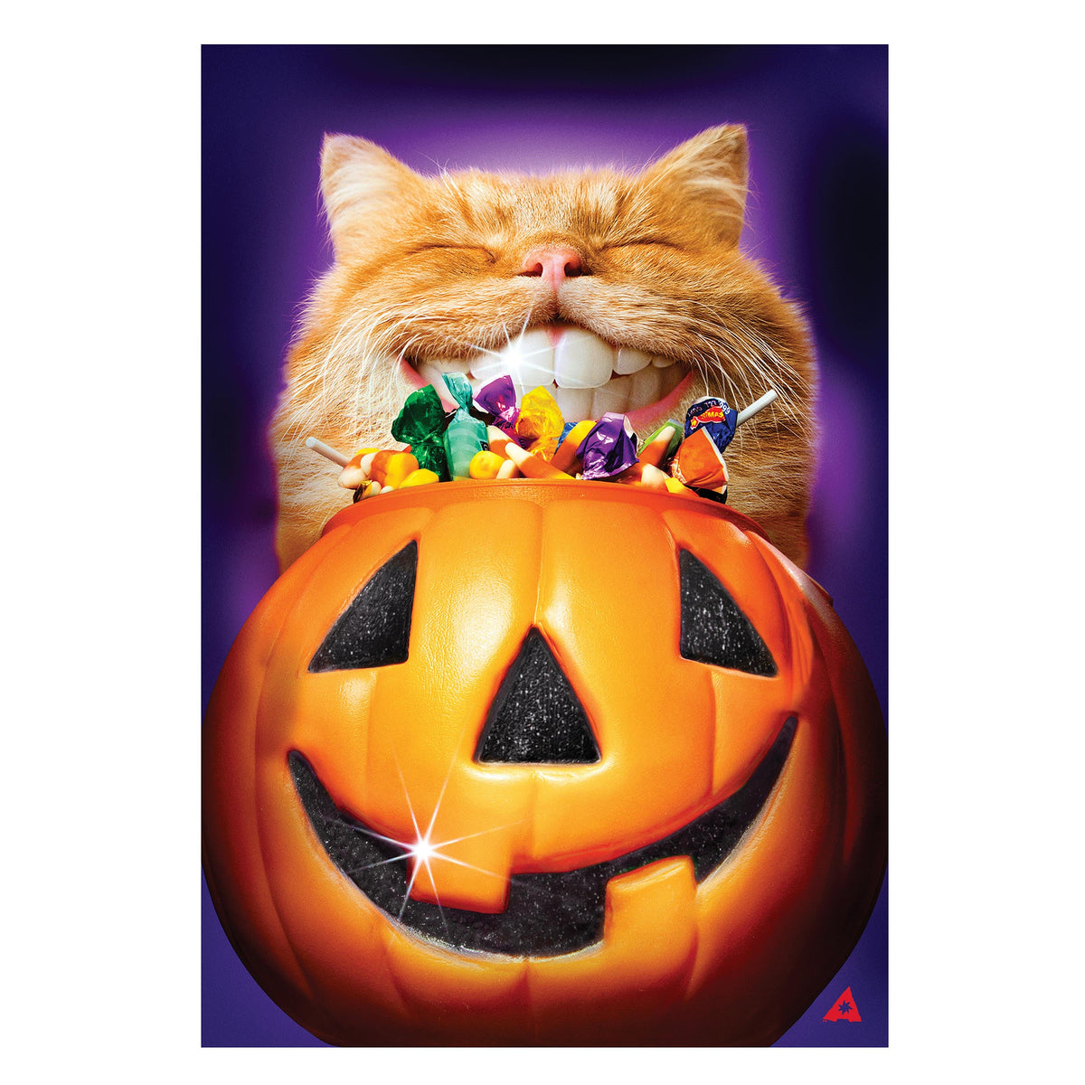 Cat Jack O'Lantern Teeth suede house flag pumpkin face with candy Evergreen Enterprises on Tampa Home & Garden Store