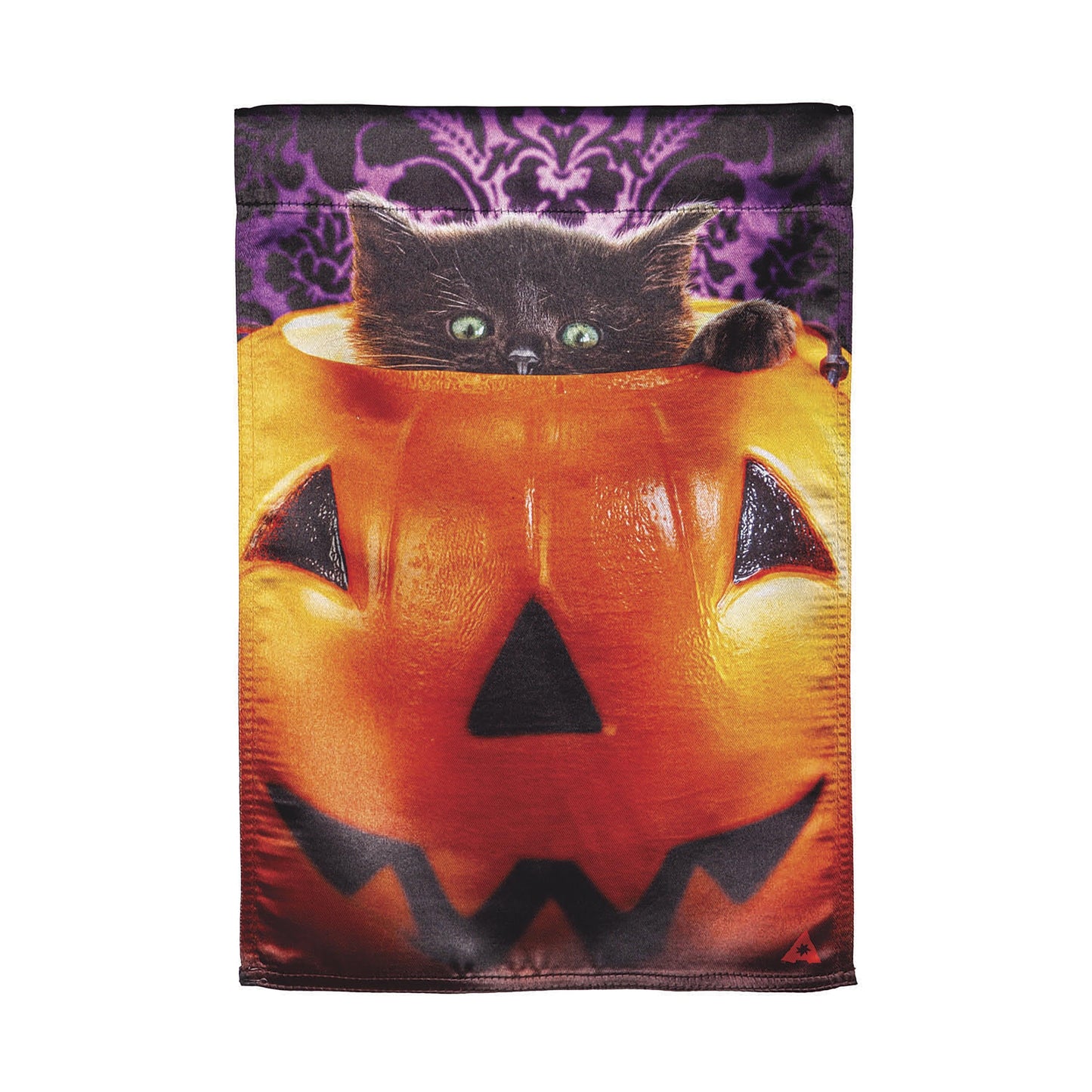 Kitten in Jack O'Lantern Pumpkin Bucket Lustre Flag Evergreen orange purple on Tampa Home & Garden Store