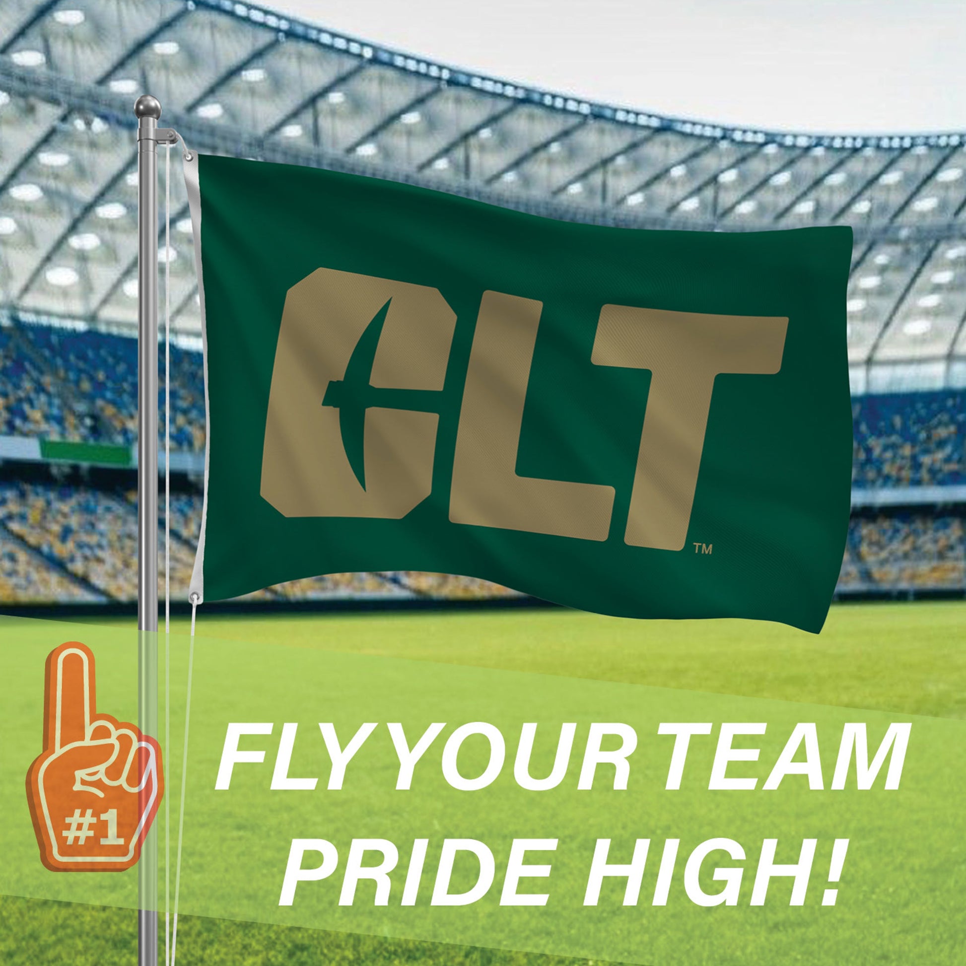 UNC Charlotte flag 3x5, single-sided sublimated flag with 2 grommets, green field on Tampa Home & Garden Store