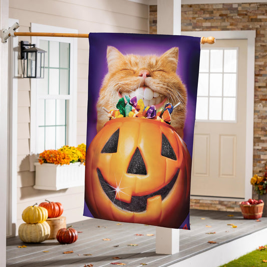Cat Jack O'Lantern Pumpkin Teeth Suede House Flag purple background Evergreen Enterprises on Tampa Home & Garden Store
