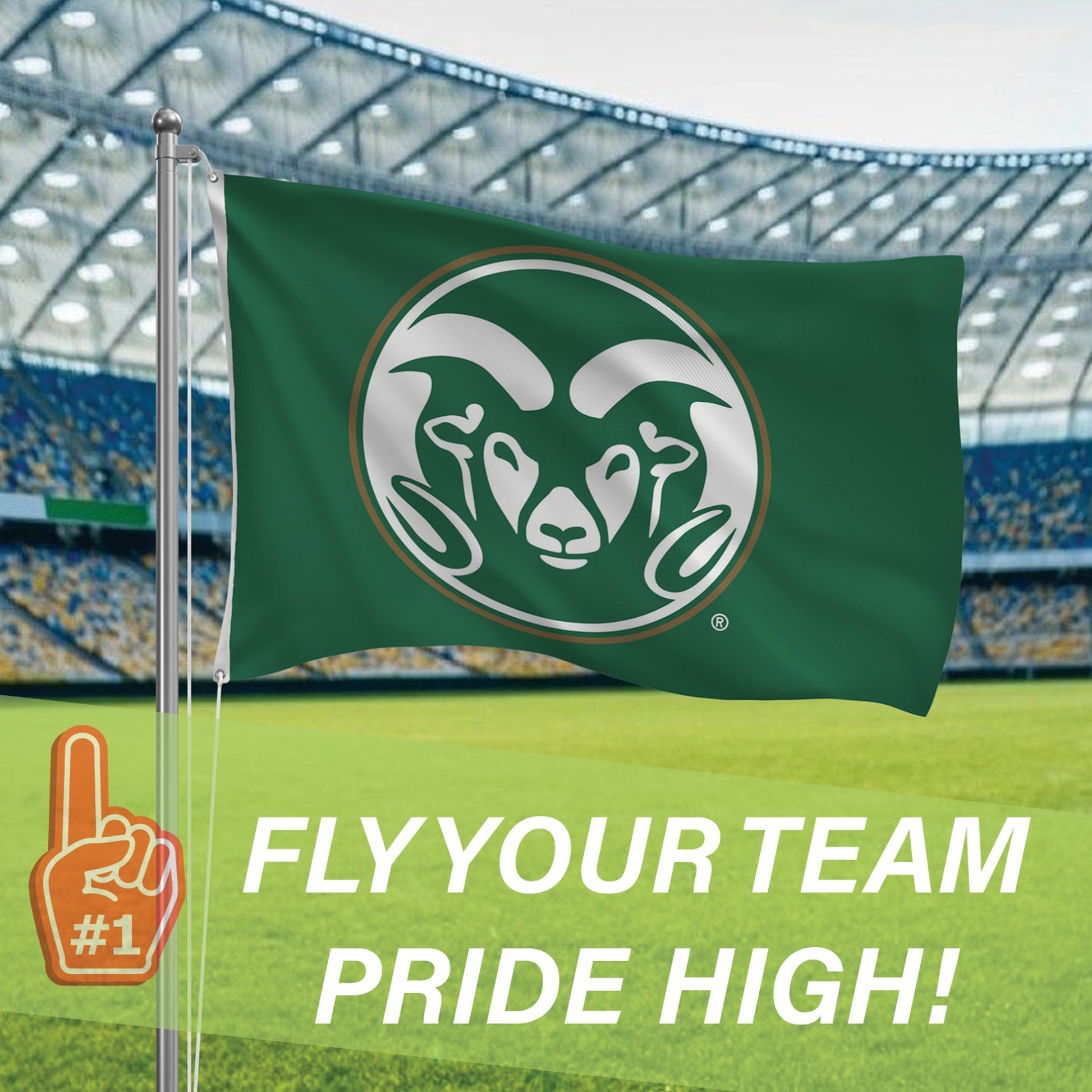 Colorado State single-sided 3x5 flag with 2 grommets by Evergreen Enterprises on Tampa Home & Garden Store