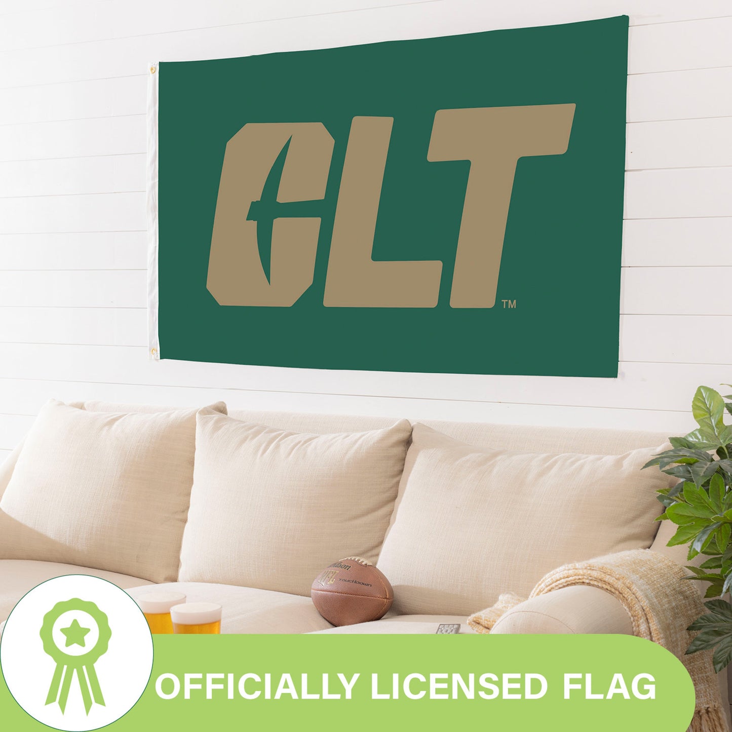 UNC Charlotte flag 3x5 single-sided with 2 grommets, green and gold on Tampa Home & Garden Store