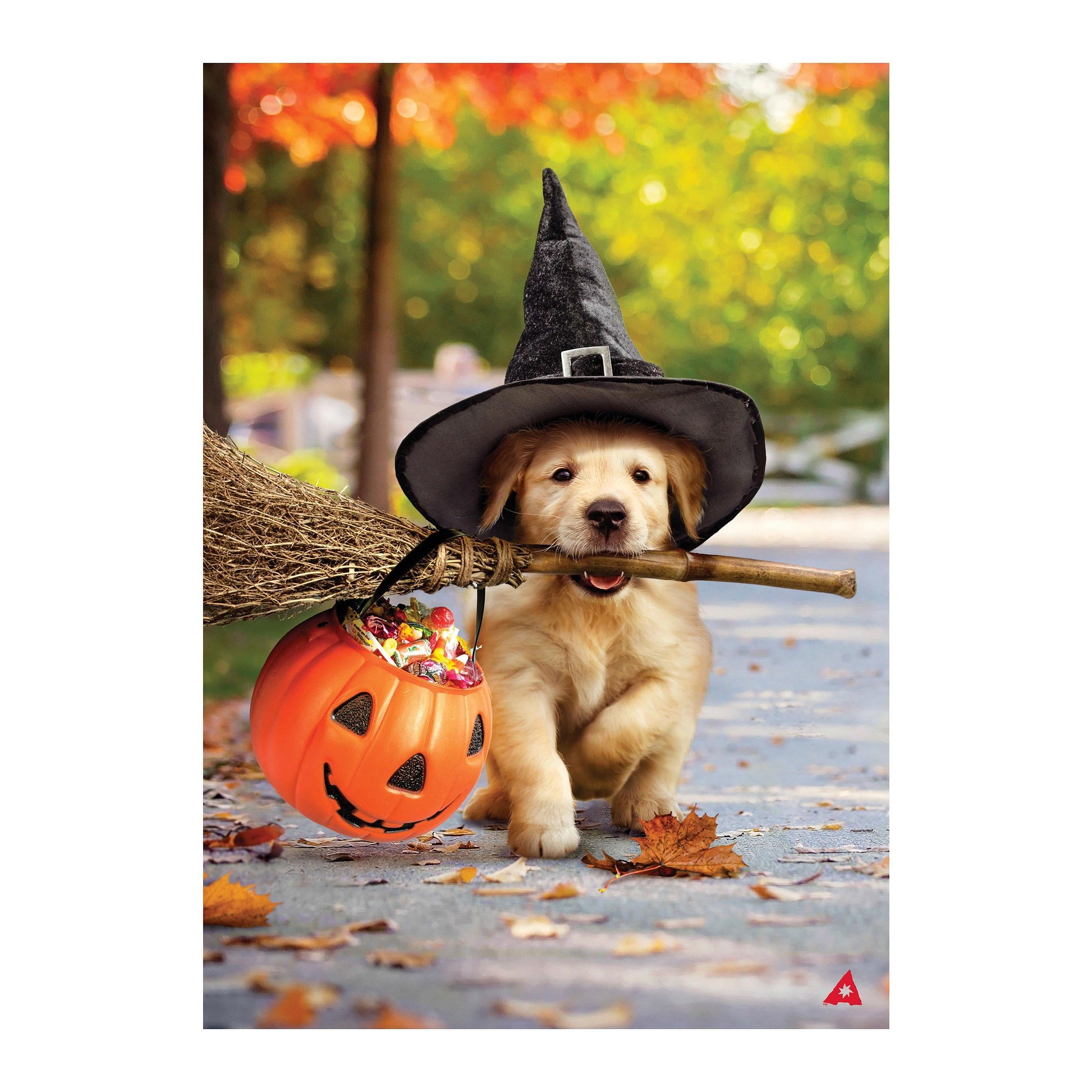 Goldens With Broom Suede House Flag featuring a Halloween-themed golden retriever in a witch hat and pumpkin on Tampa Home & Garden Store