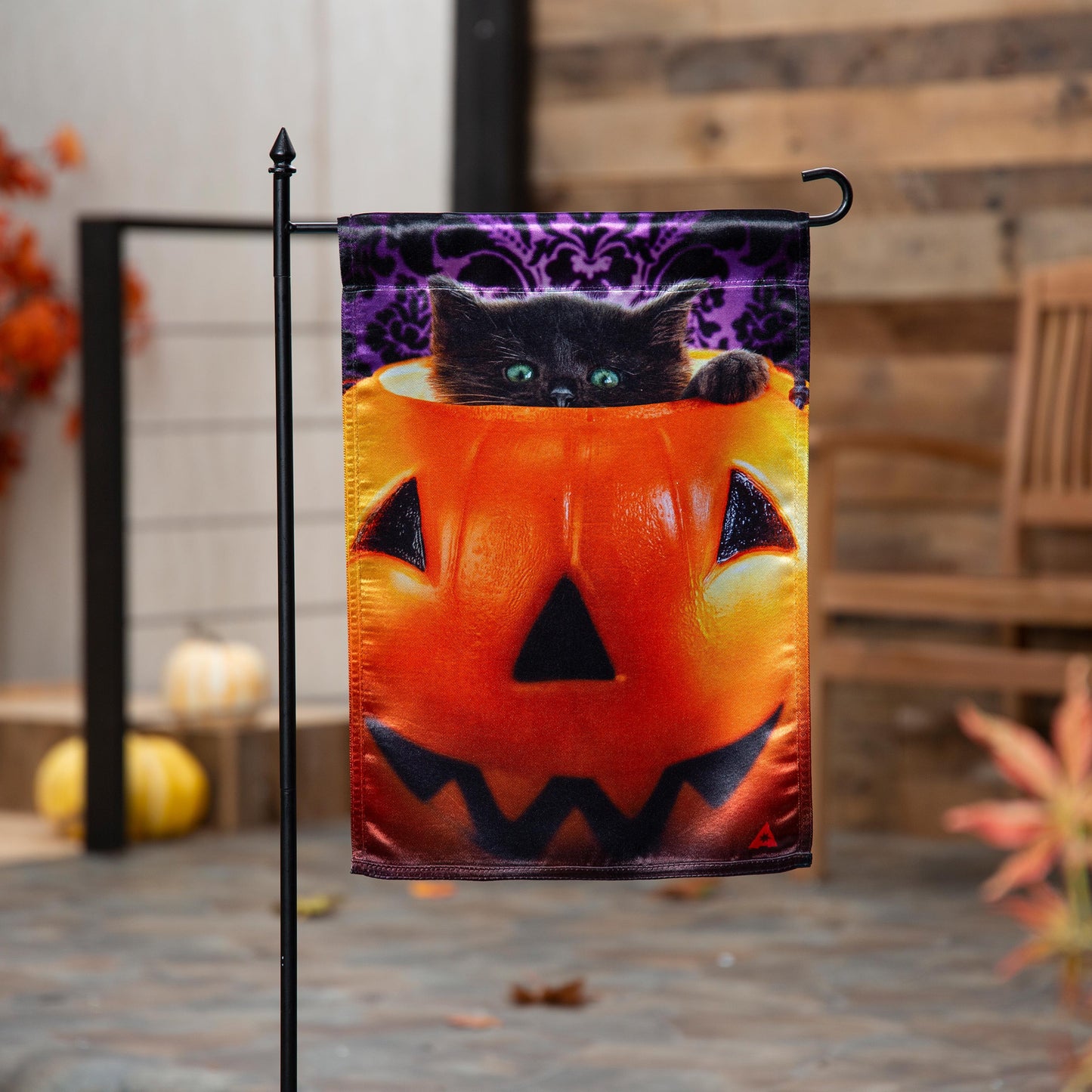 Kitten in Jack-O-Lantern pumpkin lustre garden flag with purple damask header on Tampa Home & Garden Store