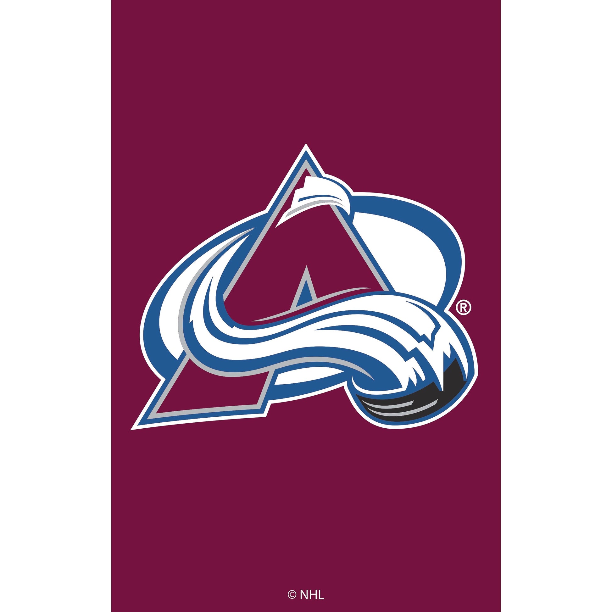 Colorado Avalanche applique garden flag on maroon background with NHL team logo on Tampa Home & Garden Store