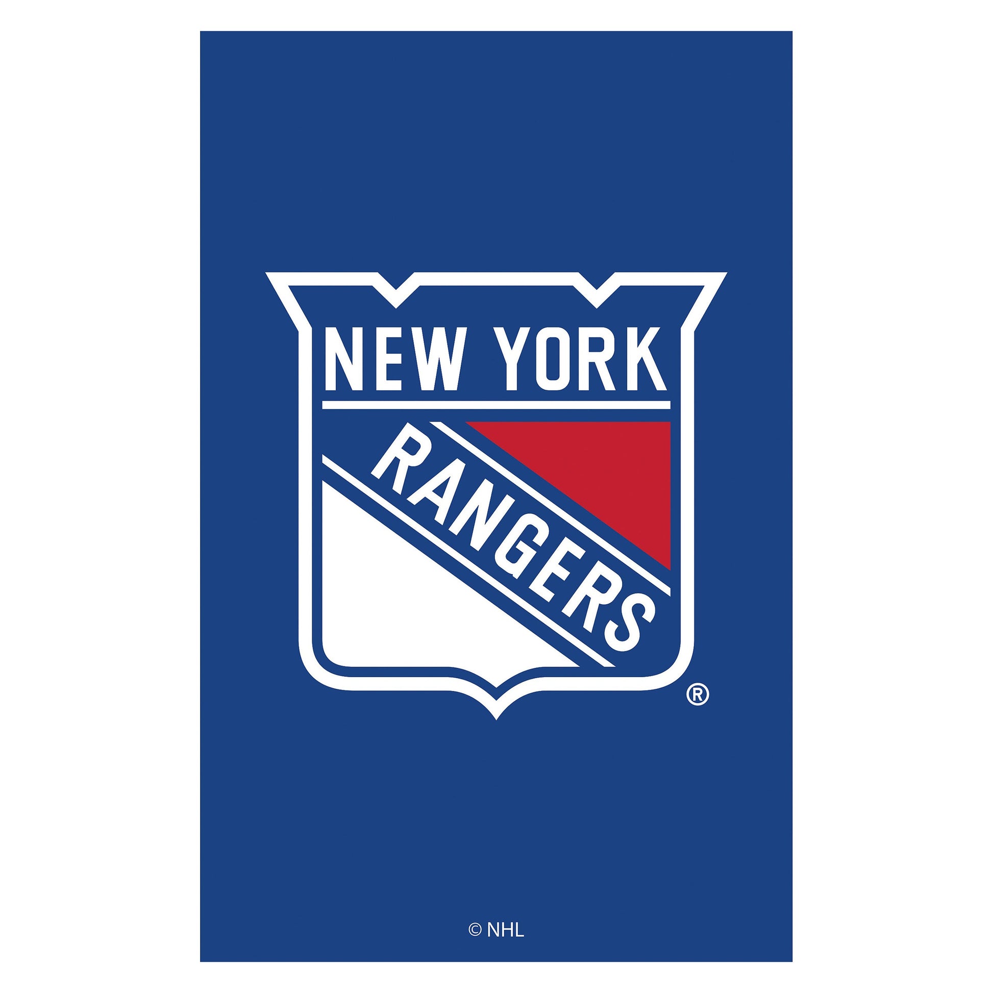 Applique flag New York Rangers on blue field with white Rangers crest Evergreen Enterprises on Tampa Home & Garden Store