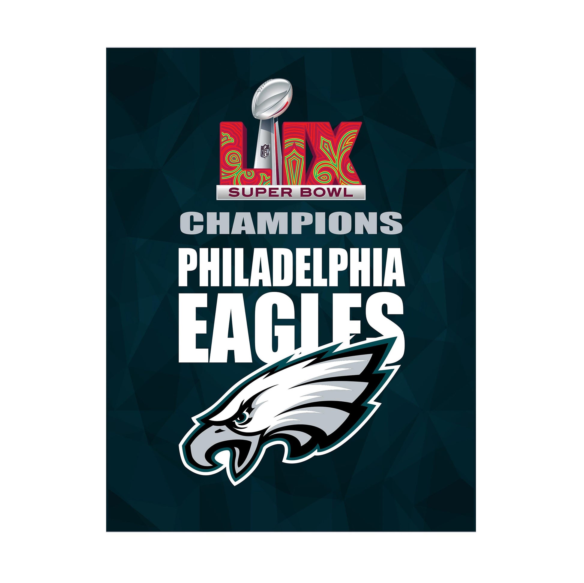 Sublimated flag Philadelphia Eagles Super Bowl 59 champions design on teal backdrop on Tampa Home & Garden Store