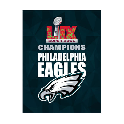 Sublimated flag Philadelphia Eagles Super Bowl 59 champions design on teal backdrop on Tampa Home & Garden Store
