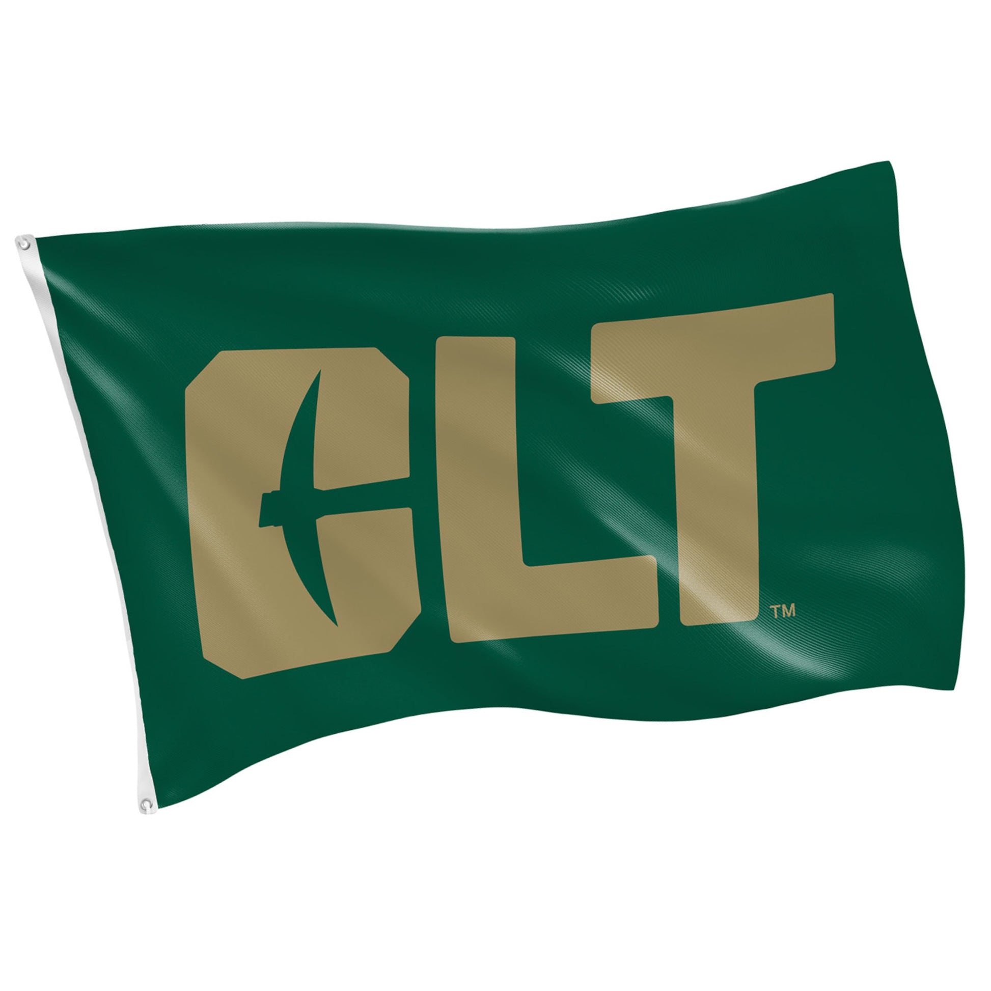 UNC Charlotte flag 3x5, green field with gold letters, 2 grommets, Evergreen Enterprises on Tampa Home & Garden Store