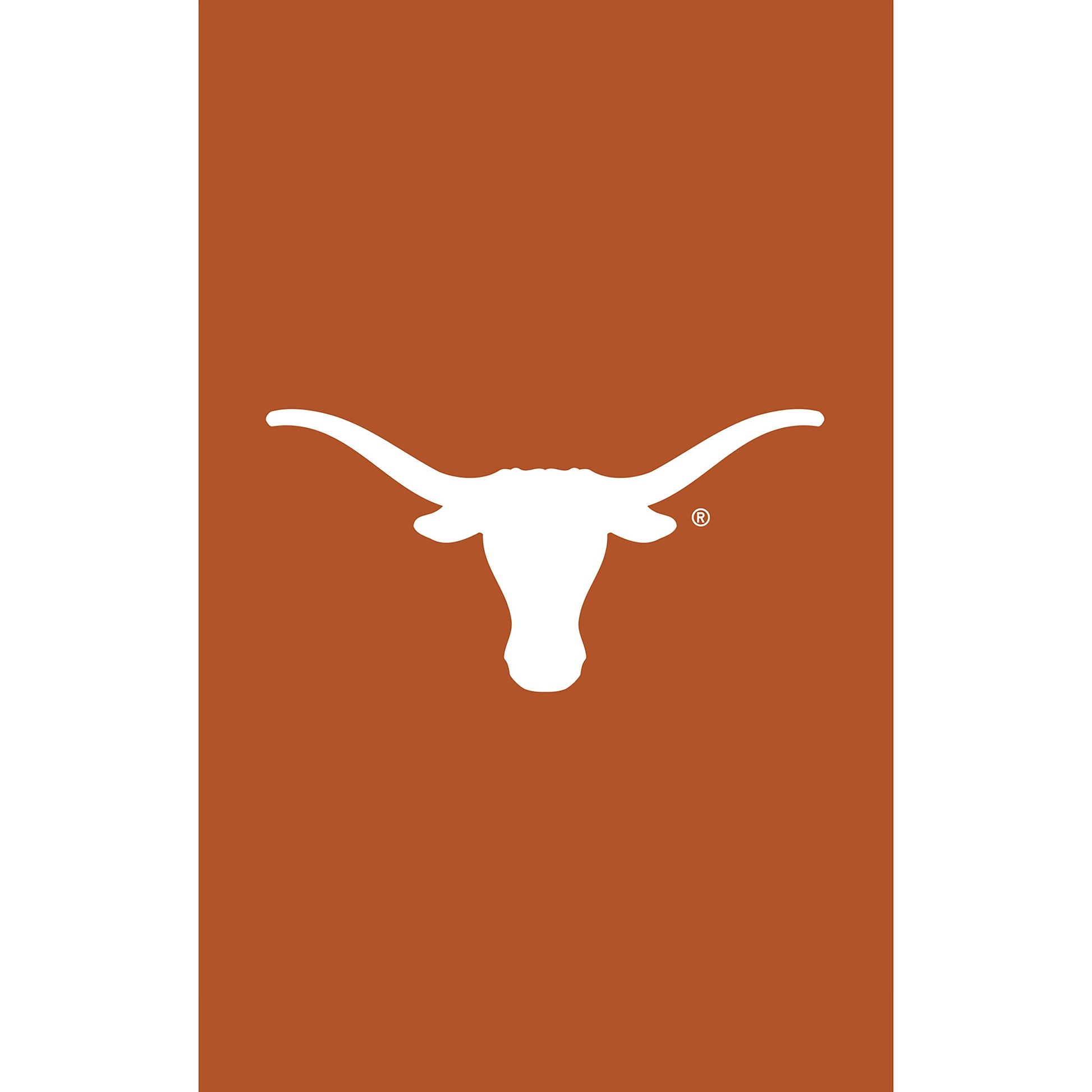 University of Texas Applique House Flag orange background white longhorn Evergreen Enterprises on Tampa Home & Garden Store