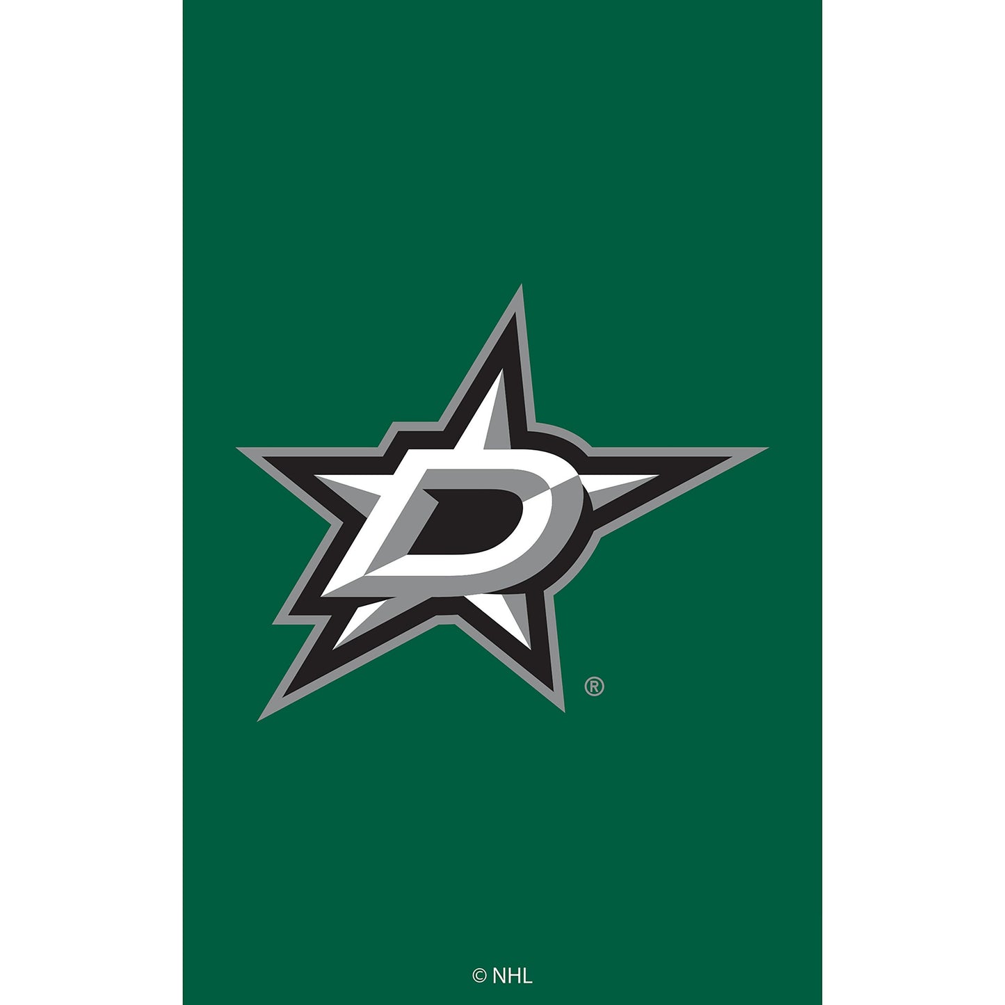 Dallas Stars applique house flag on dark green field with large star logo on Tampa Home & Garden Store