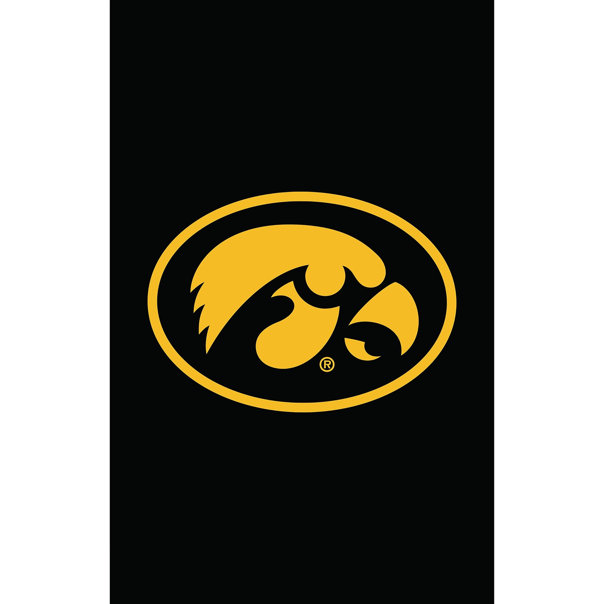 University of Iowa applique house flag with gold Hawkeye emblem on black background on Tampa Home & Garden Store