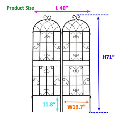 Metal Trellis For Climbing Plants And Vines
