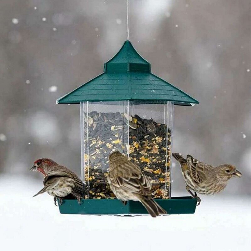 Outdoor Balcony Waterproof Hanging Bird Feeder by Sell My Stuff, green roof, 3 birds on Tampa Home & Garden Store