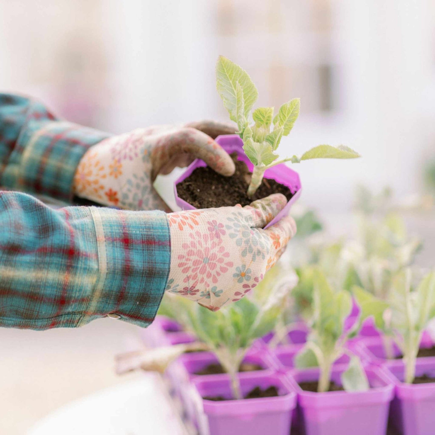 3.3" Heavy Duty Seed Starting Pots with Inserts