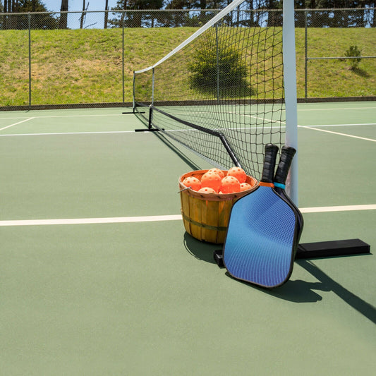 22ft portable pickleball net set by DirectDeals with carry bag and 2 blue paddles on court on Tampa Home & Garden Store