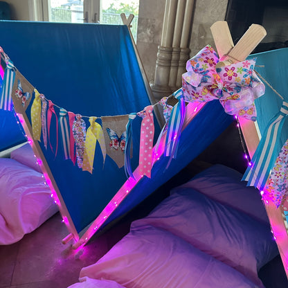 Butterfly Birthday Party Sleepover Kit with butterfly bunting and pink ribbons, purple lights on Tampa Home & Garden Store
