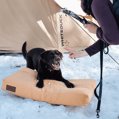 Dog Beds & Dog Bed Covers