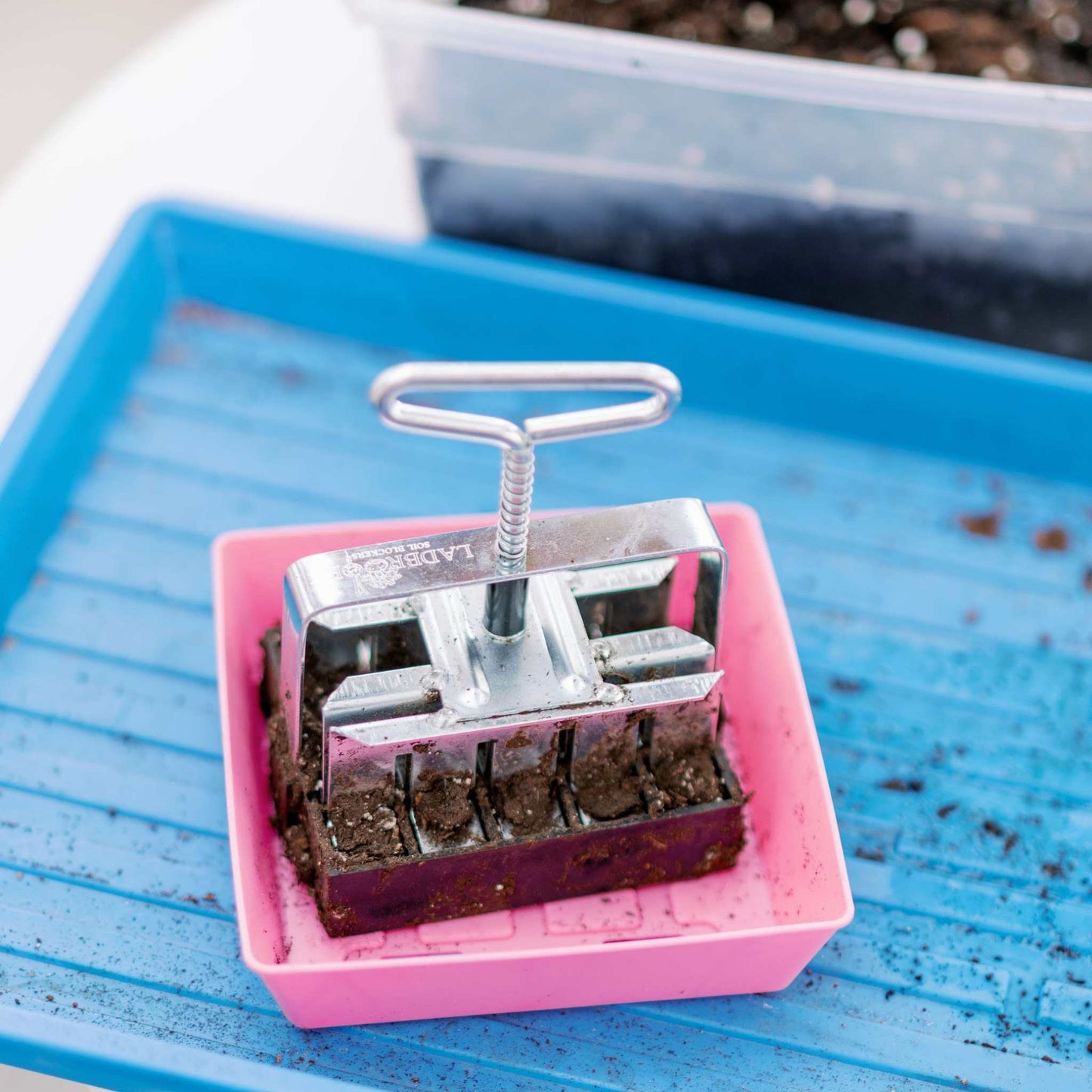 5X5 Shallow Microgreen Trays