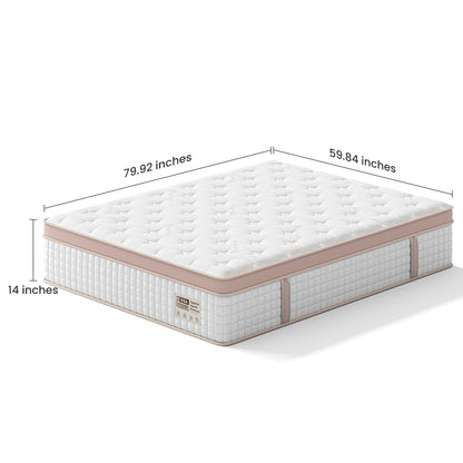 14 Inch Firm Hybrid Mattress Queen Size by HouseOfZazla, white quilted top with beige edge trim on Tampa Home & Garden Store