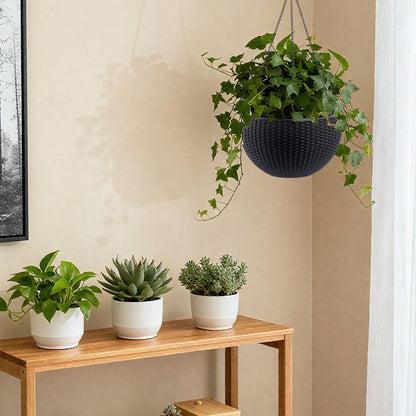 Self watering hanging planter in dark woven basket with trailing ivy on Tampa Home & Garden Store
