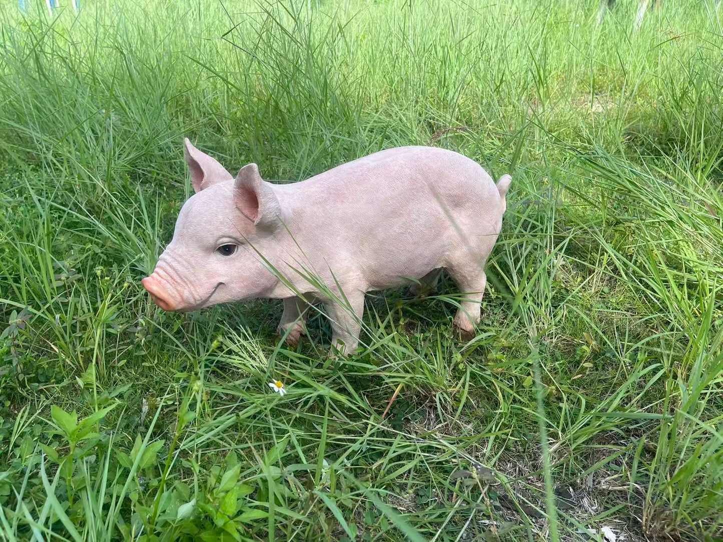 Cheerful Beige Pig Garden Statue by HouseOfZazla, beige outdoor pig sculpture in tall grass on Tampa Home & Garden Store