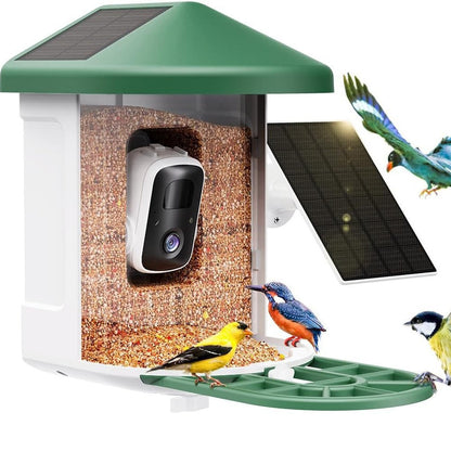 Smart Feeder Wireless Camera bird feeder with solar roof and green housing Sell My Stuff on Tampa Home & Garden Store