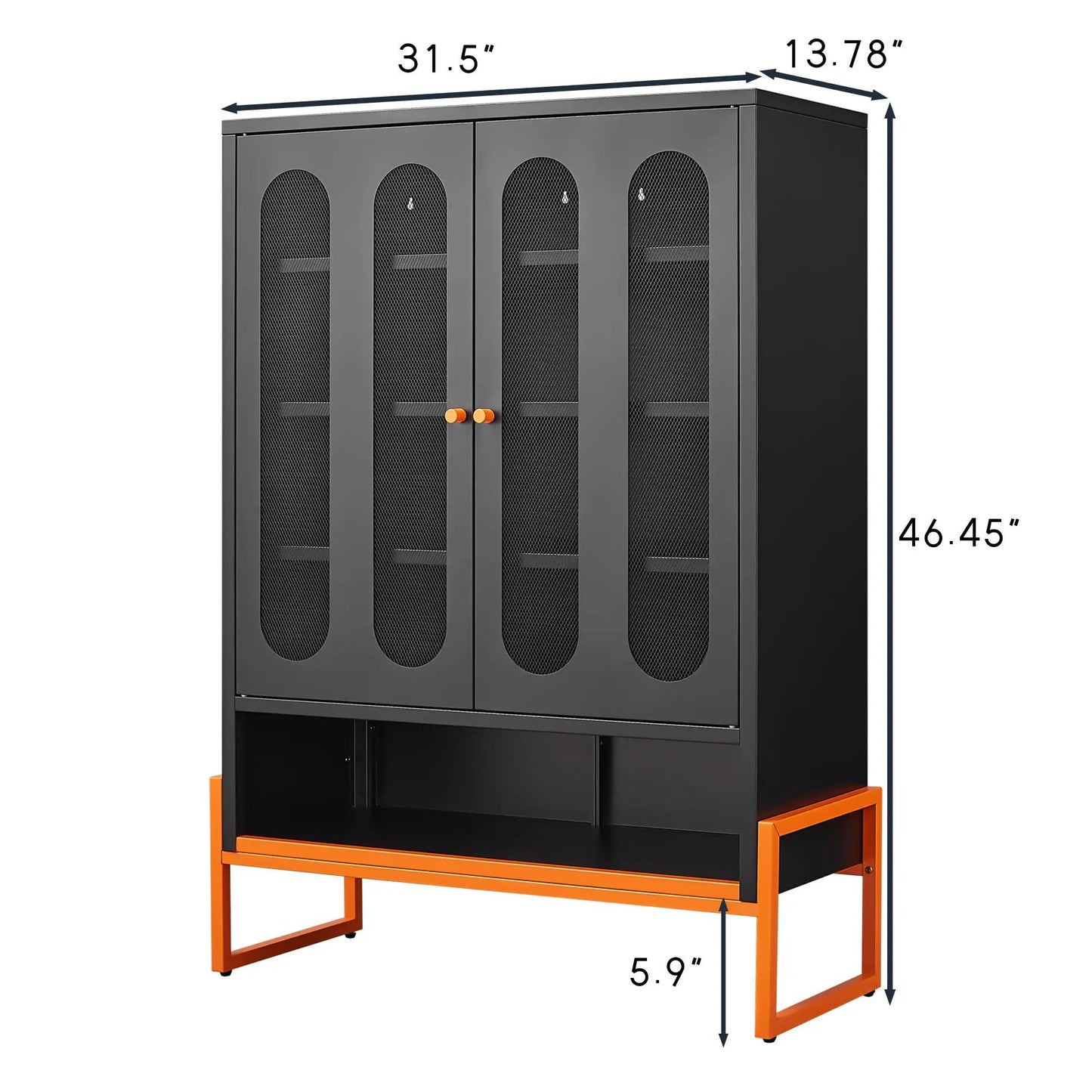 Modern Metal Shoe Cabinet with Double-Sided Doors