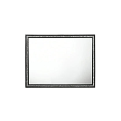Haiden Weathered Mirror Black with Silver Trim