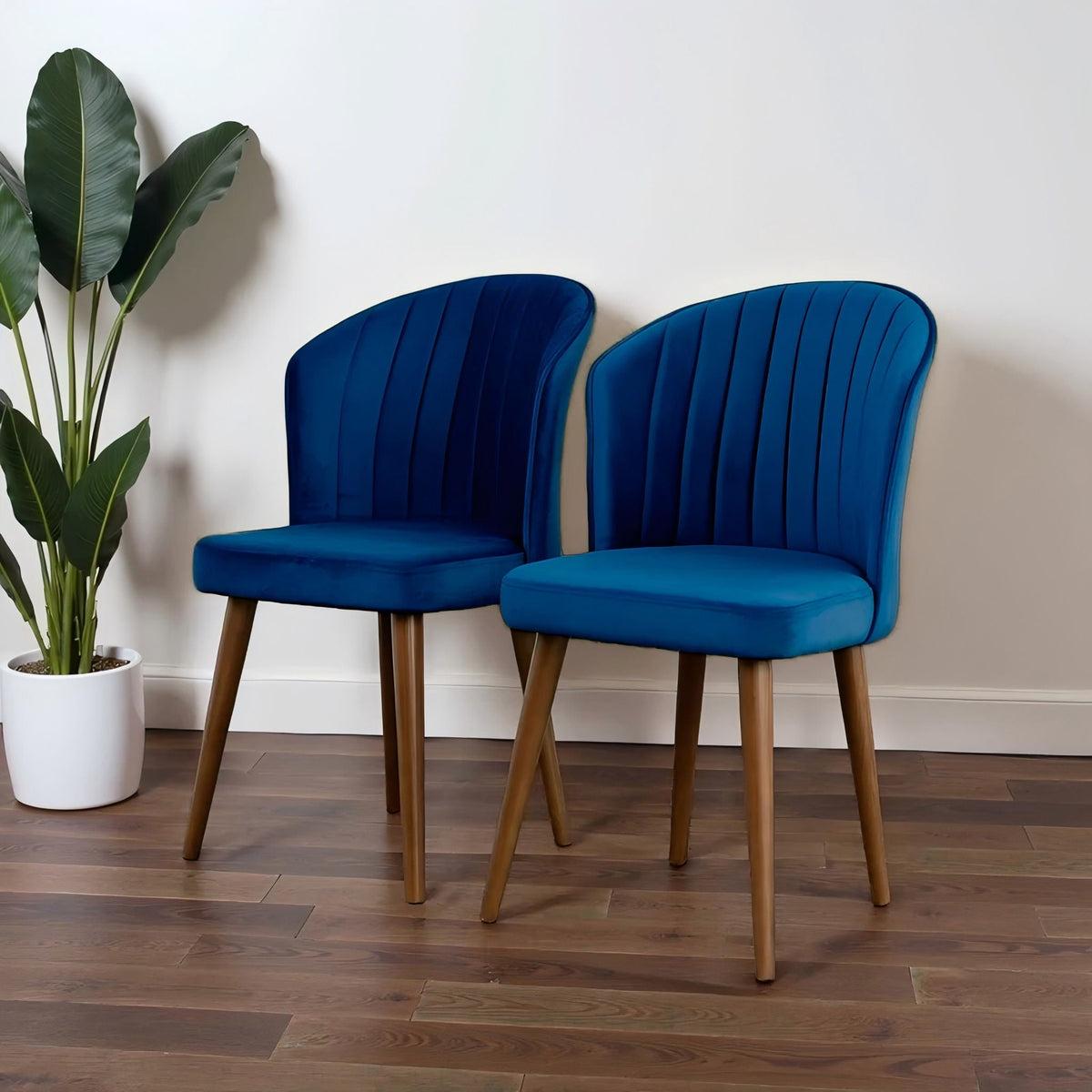 Pair of blue Parsons chairs with curved backs and wooden legs beside a plant on a white wall on Tampa Home & Garden Store