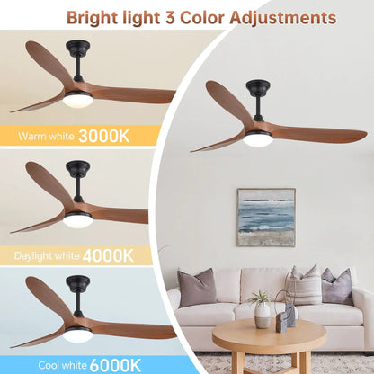 Smart Ceiling Fan With Lights, DC Motor Indoor