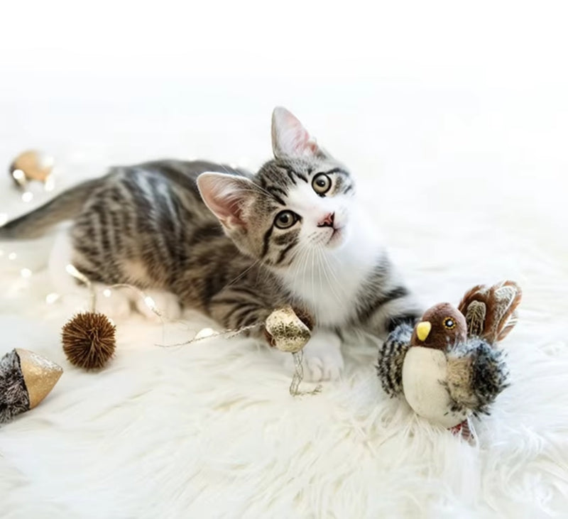 2-item interactive cat toy set: gray tabby kitten and plush chirping bird with feather accents on Tampa Home & Garden Store