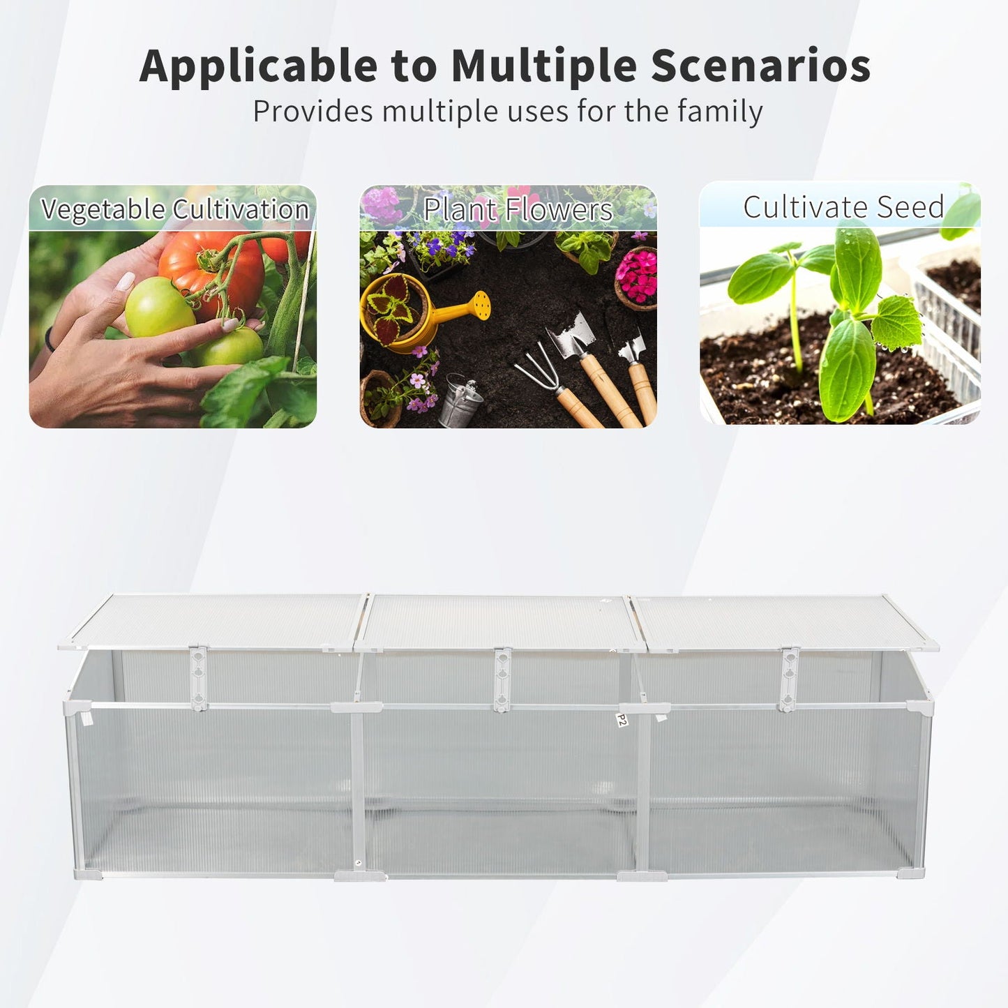 Indoor and Outdoor Polycarbonate Greenhouse