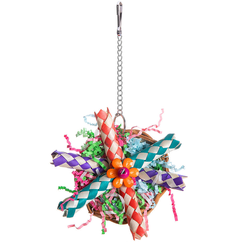 Parrot toy gnawing molar with braided paper strands in a wicker basket on a metal chain on Tampa Home & Garden Store