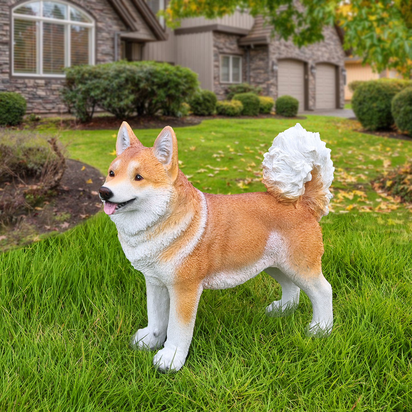Lifelike Shiba Inu statue by HouseOfZazla, tan and white outdoor garden sculpture on Tampa Home & Garden Store