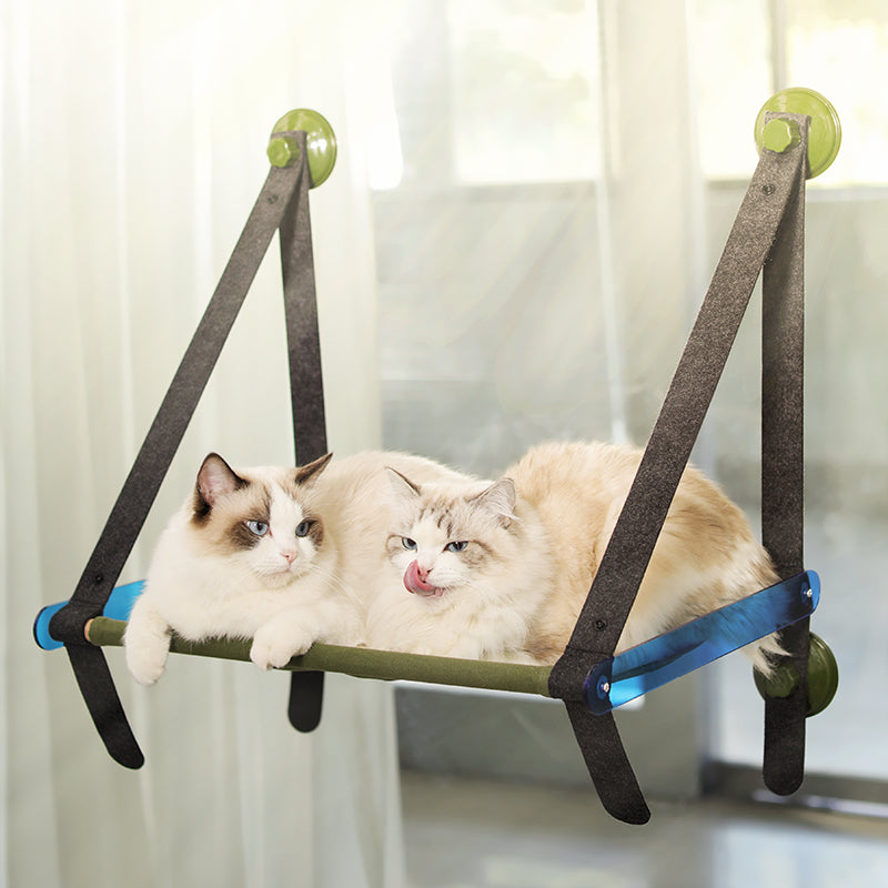 Window cat hammock with suction cups for two cats, green/blue hardware on Tampa Home & Garden Store