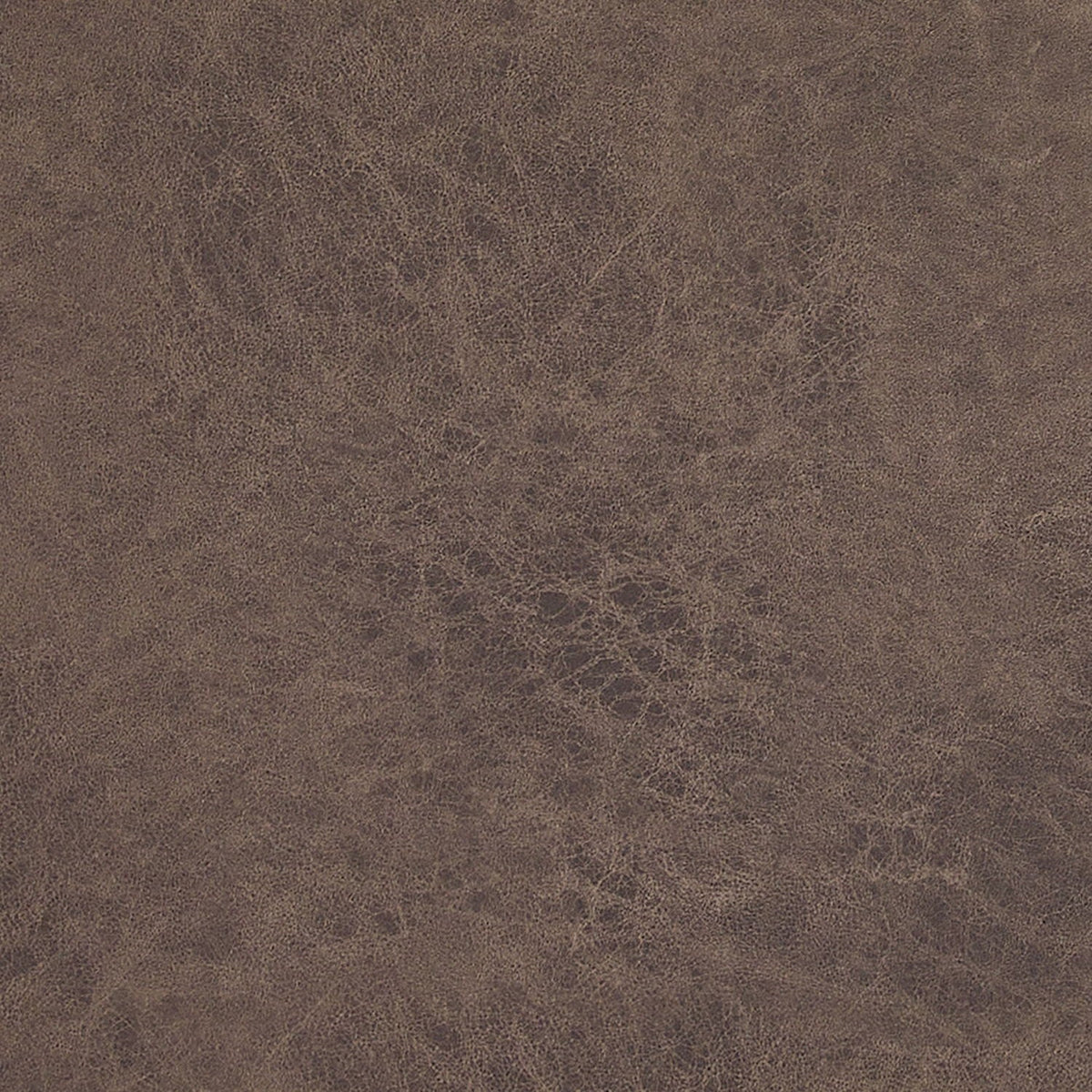 Tulo Arm Chair leather texture backdrop in dark brown on Tampa Home & Garden Store