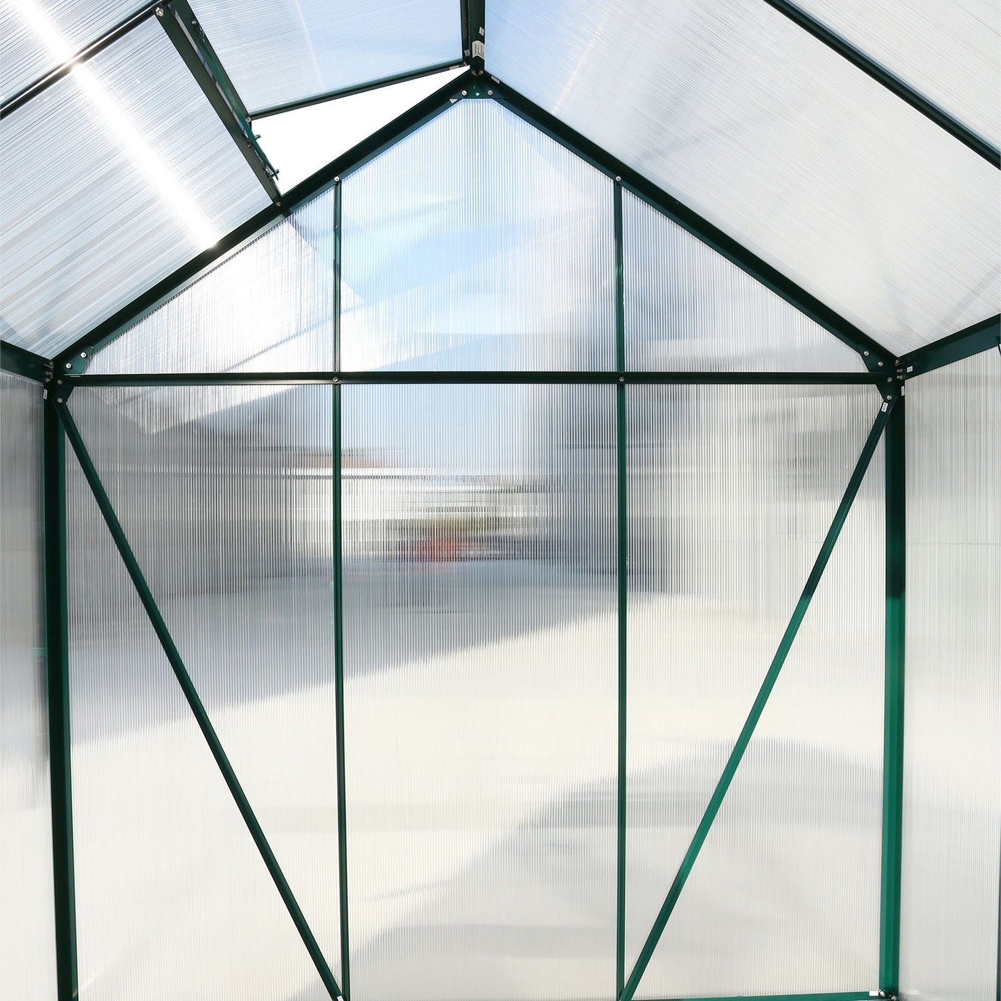 Heavy Duty Polycarbonate Greenhouse Kit and Door