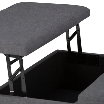 Ellis Coffee Table Storage Ottoman Contemporary