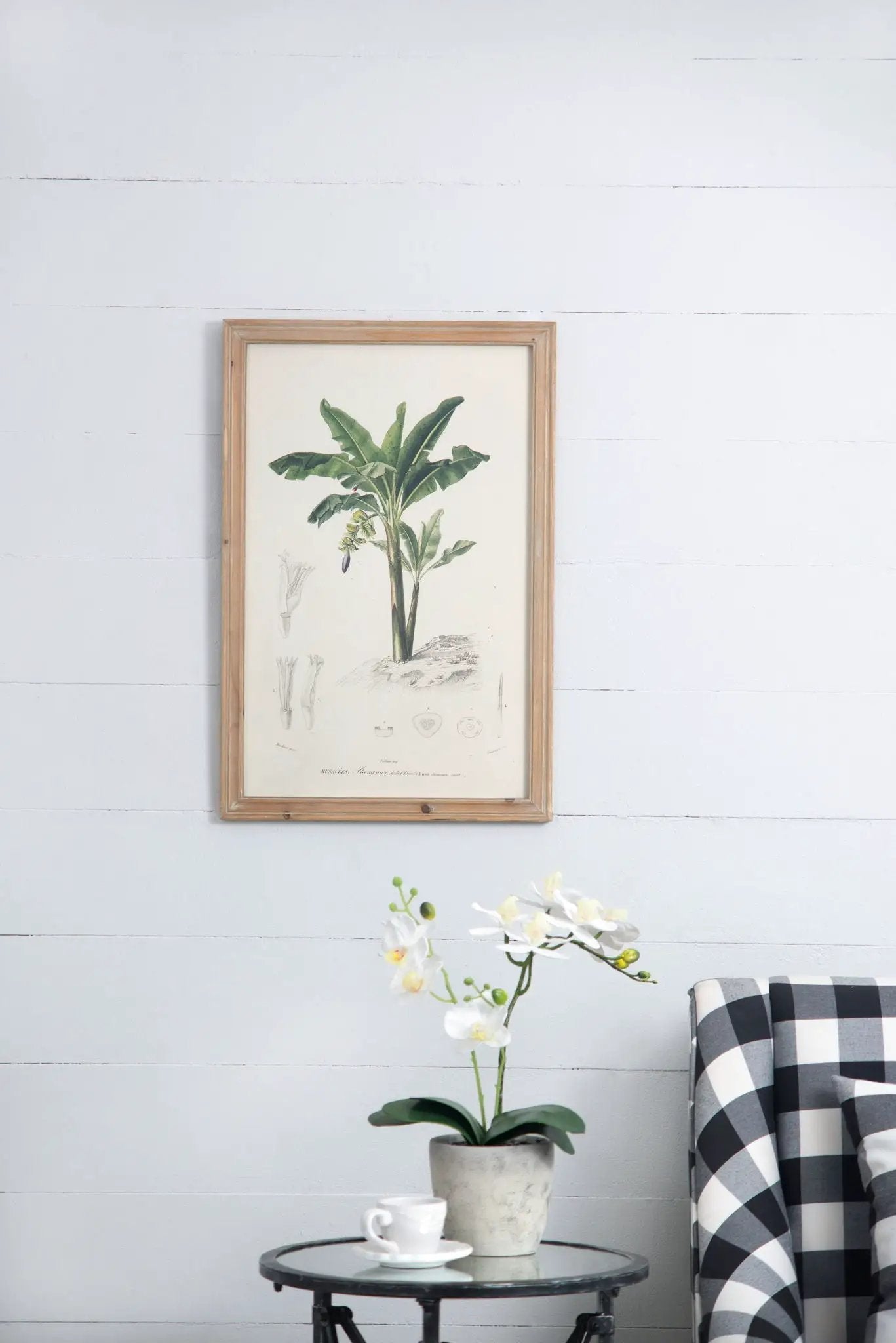 Tree Framed Print Set of 2 multicolor botanical illustration in a light wood frame on Tampa Home & Garden Store