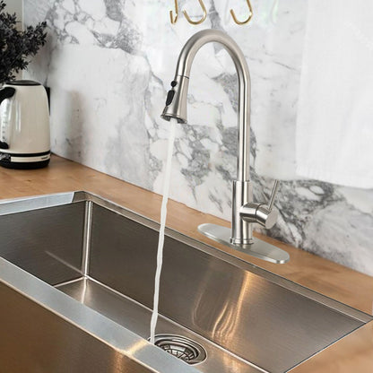 High Arc Kitchen Faucet and Pull Down Sprayer