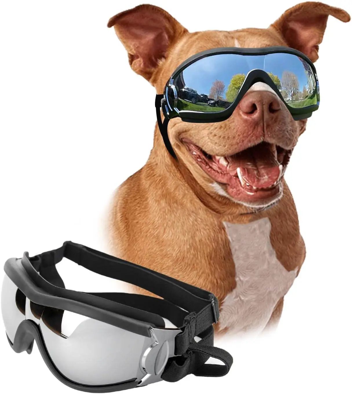 - image on Tampa Home & Garden Store