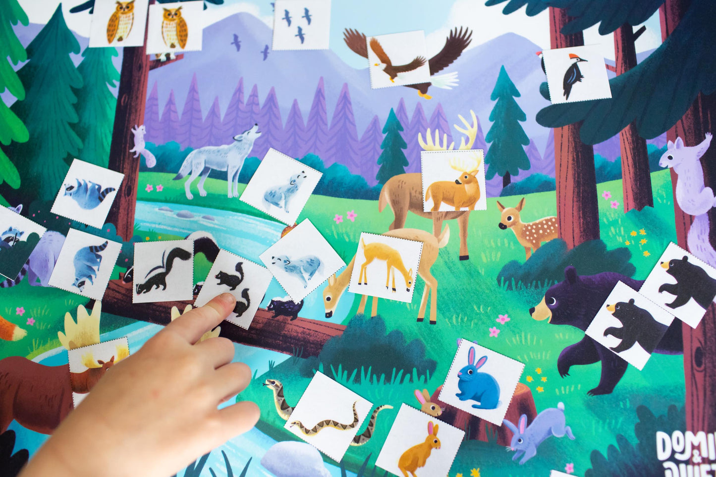 Four Pack Toddler Placemat Bundle and Scenes